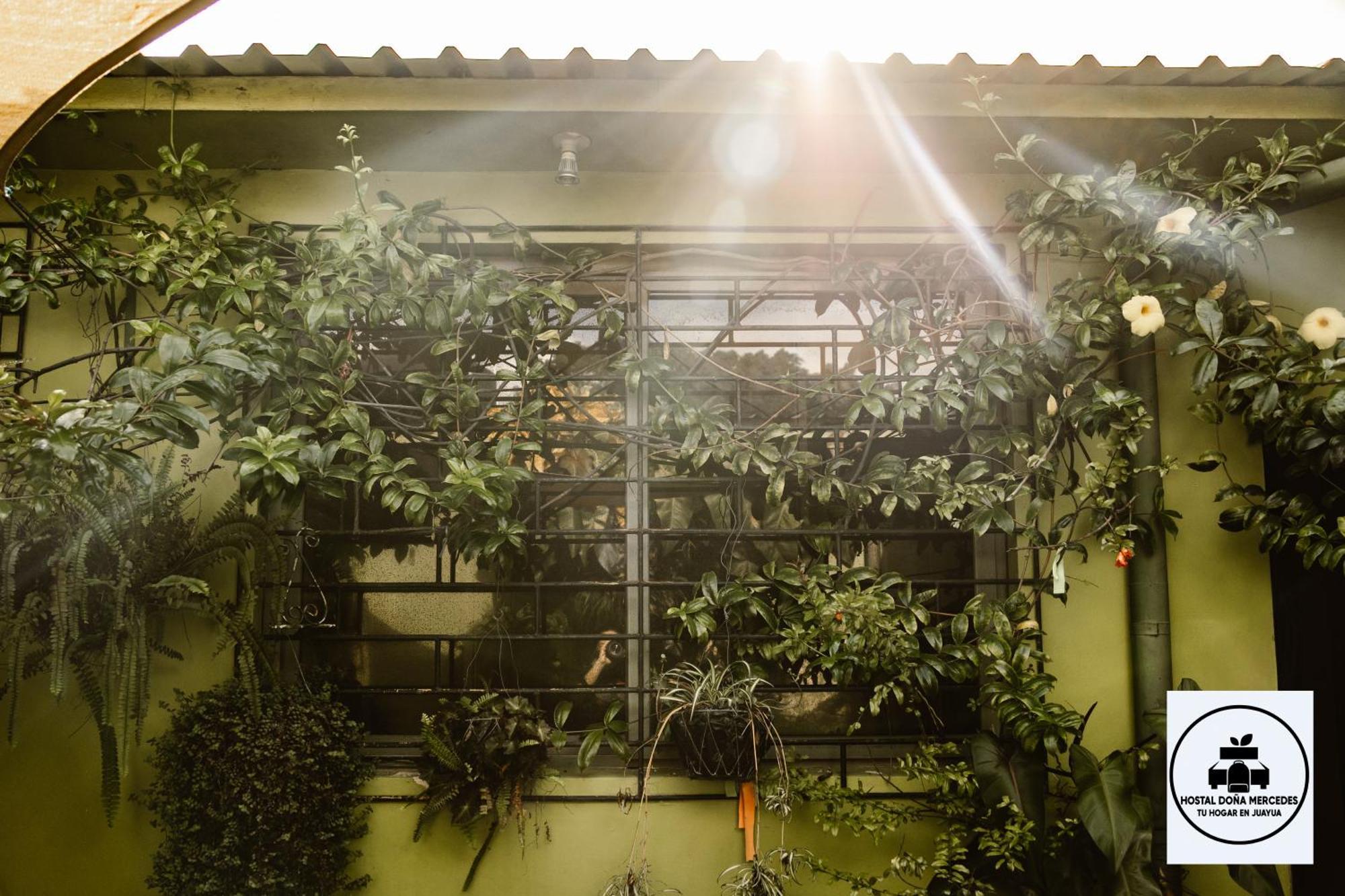 Hostal Dona Mercedes Juayúa المظهر الخارجي الصورة
